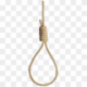 Noose used for execution 