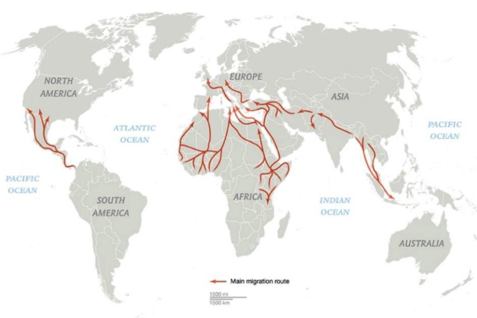 Glow🌐 Ball Leaders take over plan or map of seasonal migratory flows